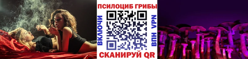 купить наркотик  Ликино-Дулёво  Галлюциногенные грибы Cubensis 